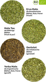 Mate-Tee-Probierset ● 4 Sorten Bio-Mate-Tee ● je 100 g Erva Mate + Yerba Mate + Grüner Mate-Tee + Gerösteter Mate-Tee