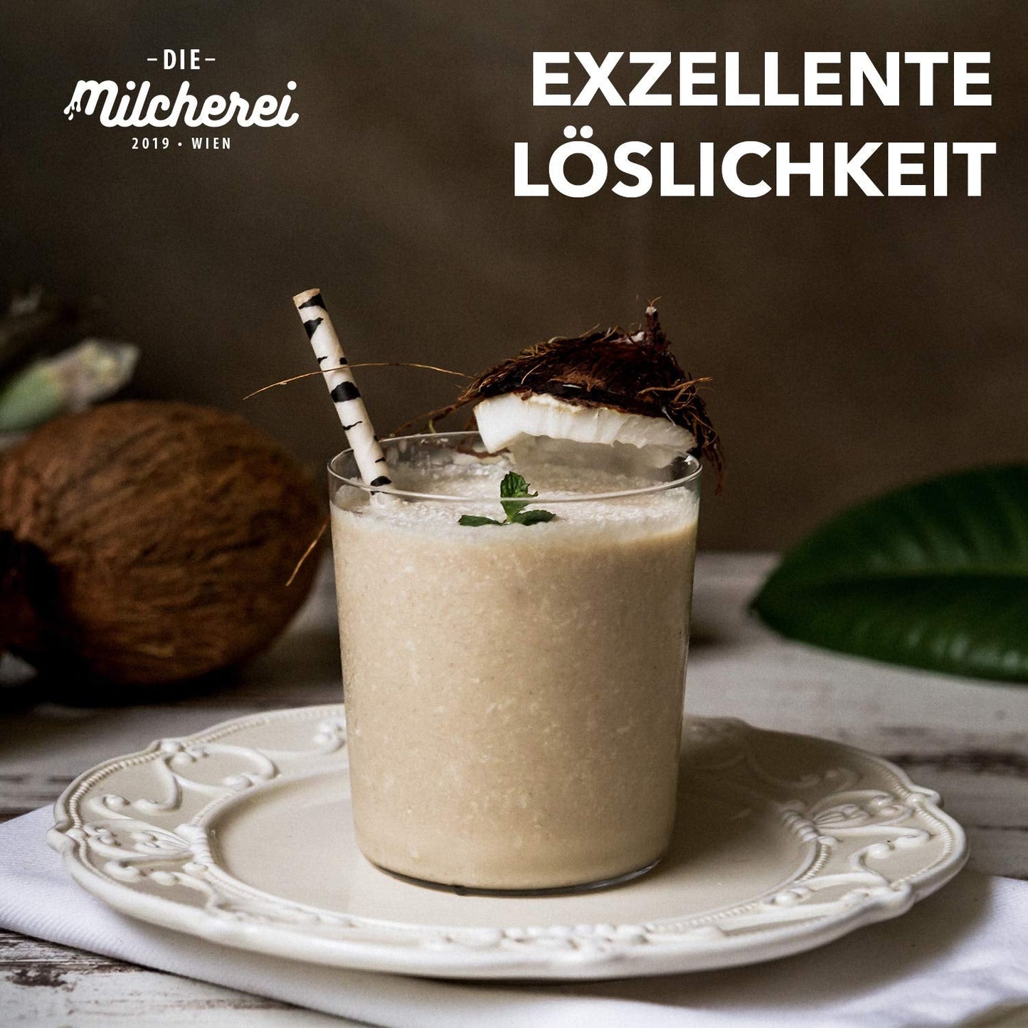 Kokos-Nuss-Milch-Pulver MILCHEREI Kokos-Shake Curry Thai 800g