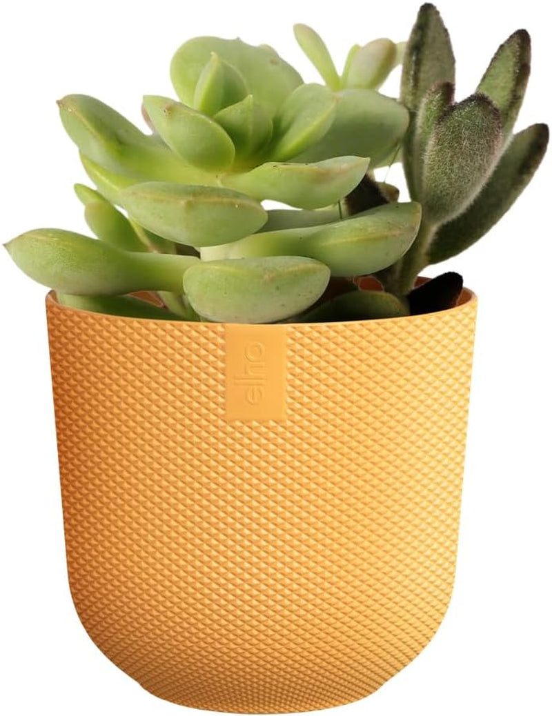 elho Jazz Round Mini 7 cm – Blumentöpfe für den Innenbereich – 100 % recycelter Kunststoff – Ø 7 x H 6,5 cm – Gelb/Bernstein