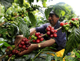 100 % natürliche Arabica-Kaffeebohnen 1 kg – Intensiv gerösteter Espressokaffee mit einer Mischung kolumbianischer und brasilianischer Herkunft – Fair Trade.