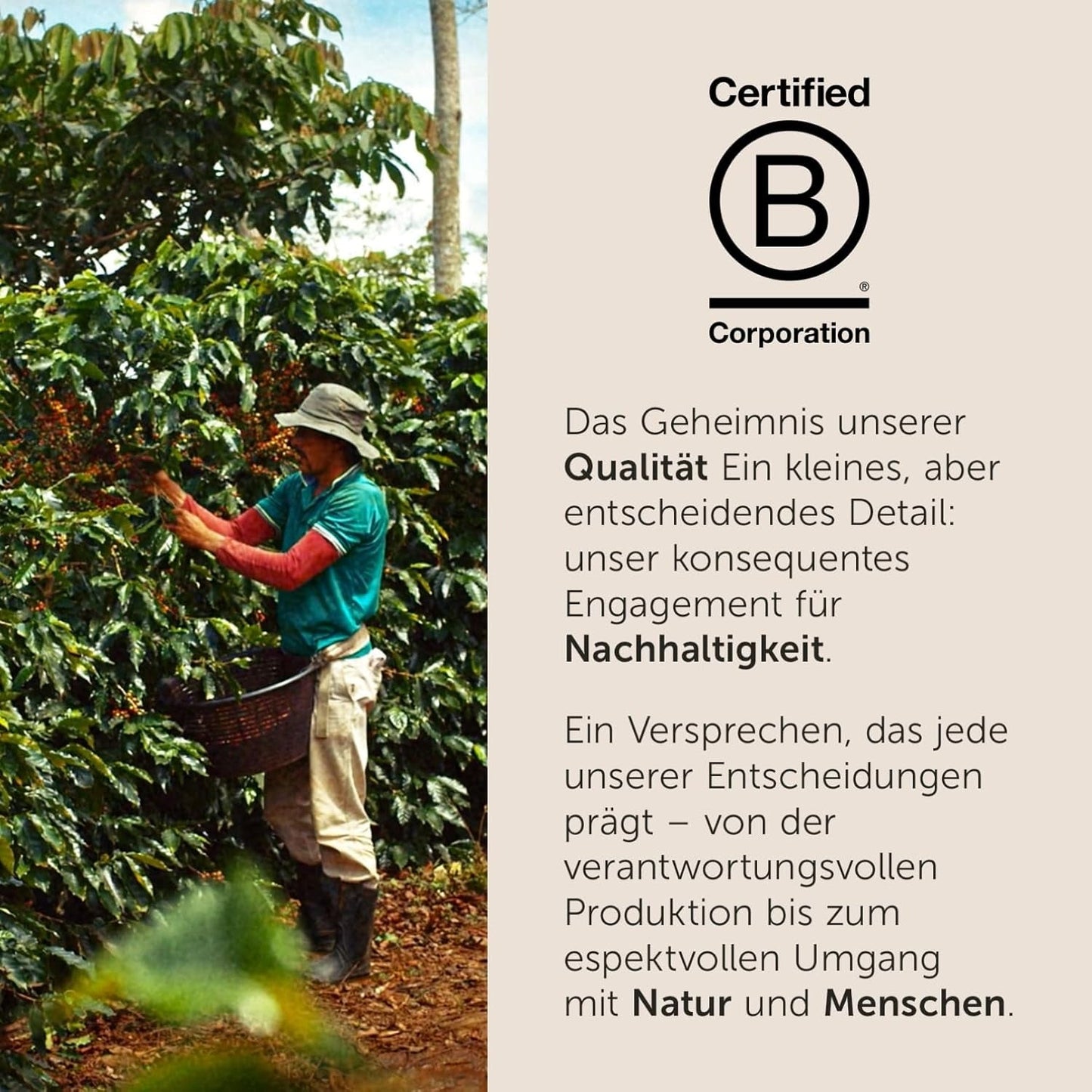 illy, Kaffeebohnen Arabica Selection Costa Rica, 100% Arabica mit Karamell-, Schokoladen- und Vanillenoten, süßer Gesmack, 1 Dose mit 250g