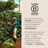 illy, Kaffeebohnen Arabica Selection Costa Rica, 100% Arabica mit Karamell-, Schokoladen- und Vanillenoten, süßer Gesmack, 1 Dose mit 250g
