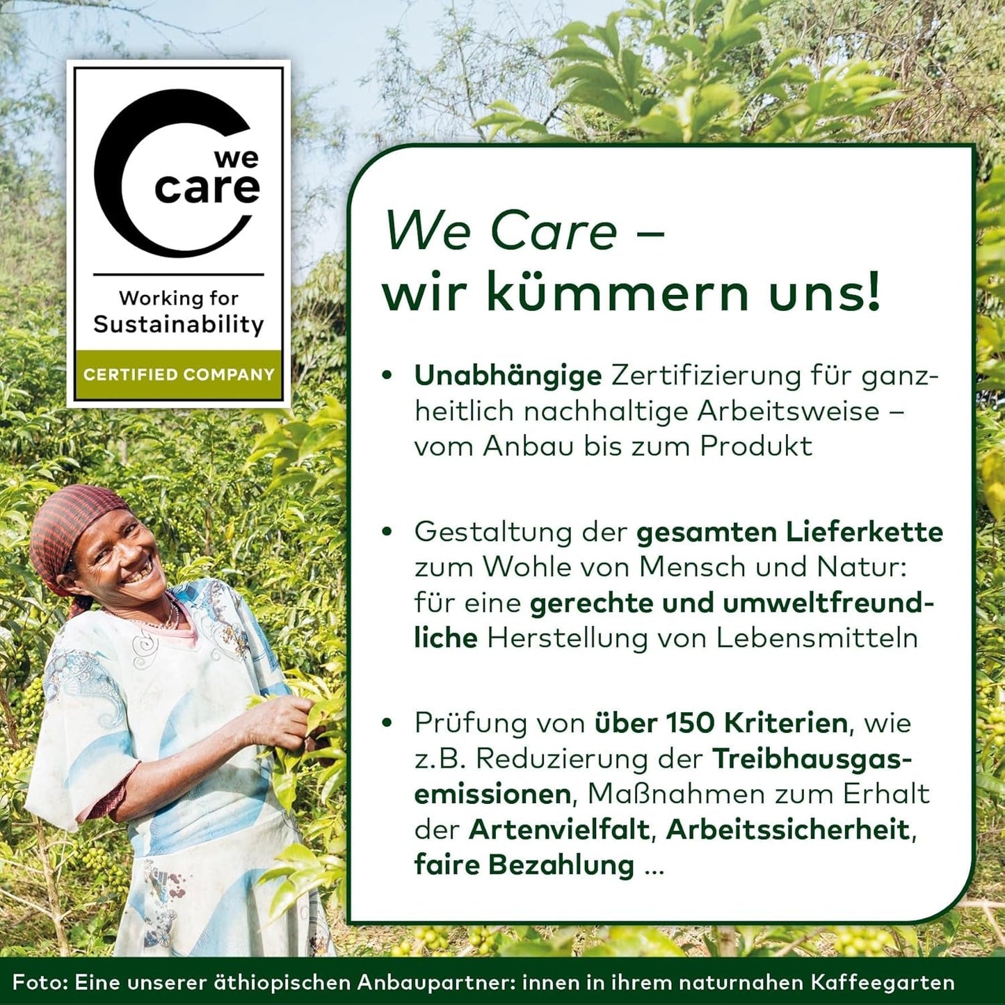 Lebensbaum Darjeeling Ganzblatt-Grüntee, Bio-Tee, Grüner Tee mit frischem Blumengeschmack, hellgrüne Farbe, 1000 g