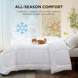 BEDSURE gesteppte Steppdecke für Doppelbett (223,5 x 223,3 cm) weiß, Bettdecken und Steppdecken, Naty Shop