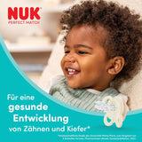 NUK Perfect Match Luftschnuller für Babys | 0-6 Monate | Kieferorthopädische Schnuller, die die Luftzirkulation fördern und durch Speichel verursachte Hautausschläge verhindern | 95 % Akzeptanz bei Babys** | Disney Winnie Puuh | 2 Stück