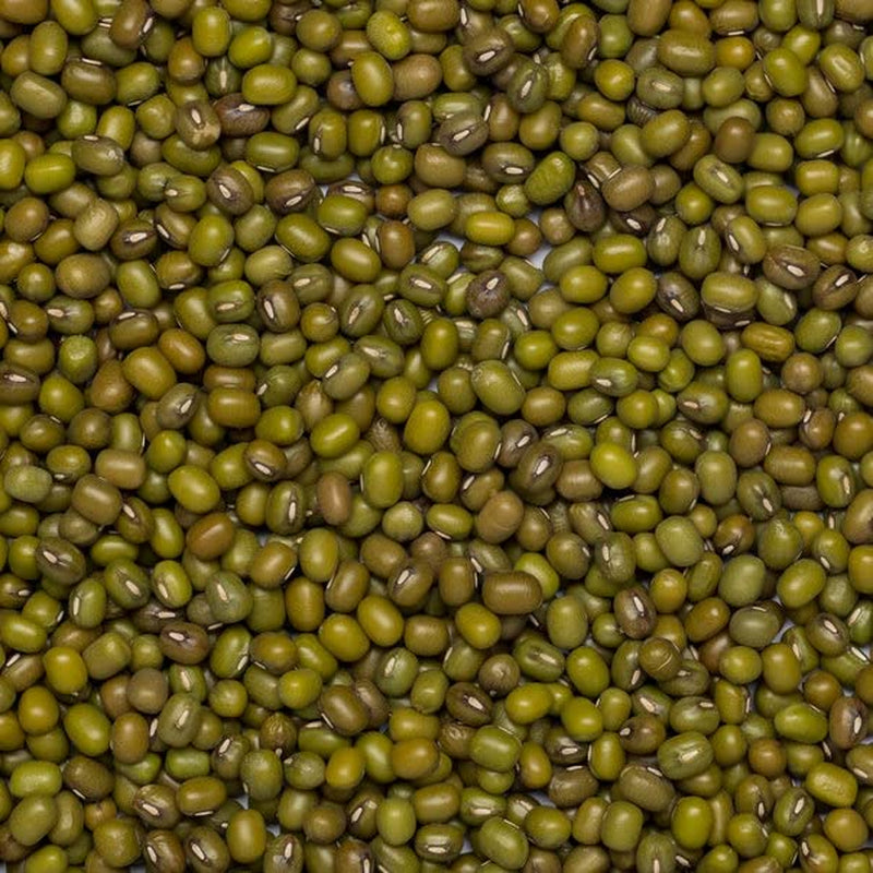 Wholefood Earth Bio-Mungbohnen 2kg | GVO-frei | Vegan | Reich an Ballaststoffen | Reich an Protein | Bio-zertifiziert