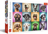 Puzzle - „1000“ – Lustige Hundeporträts Puzzle Naty Shop Lustige Hundeporträts