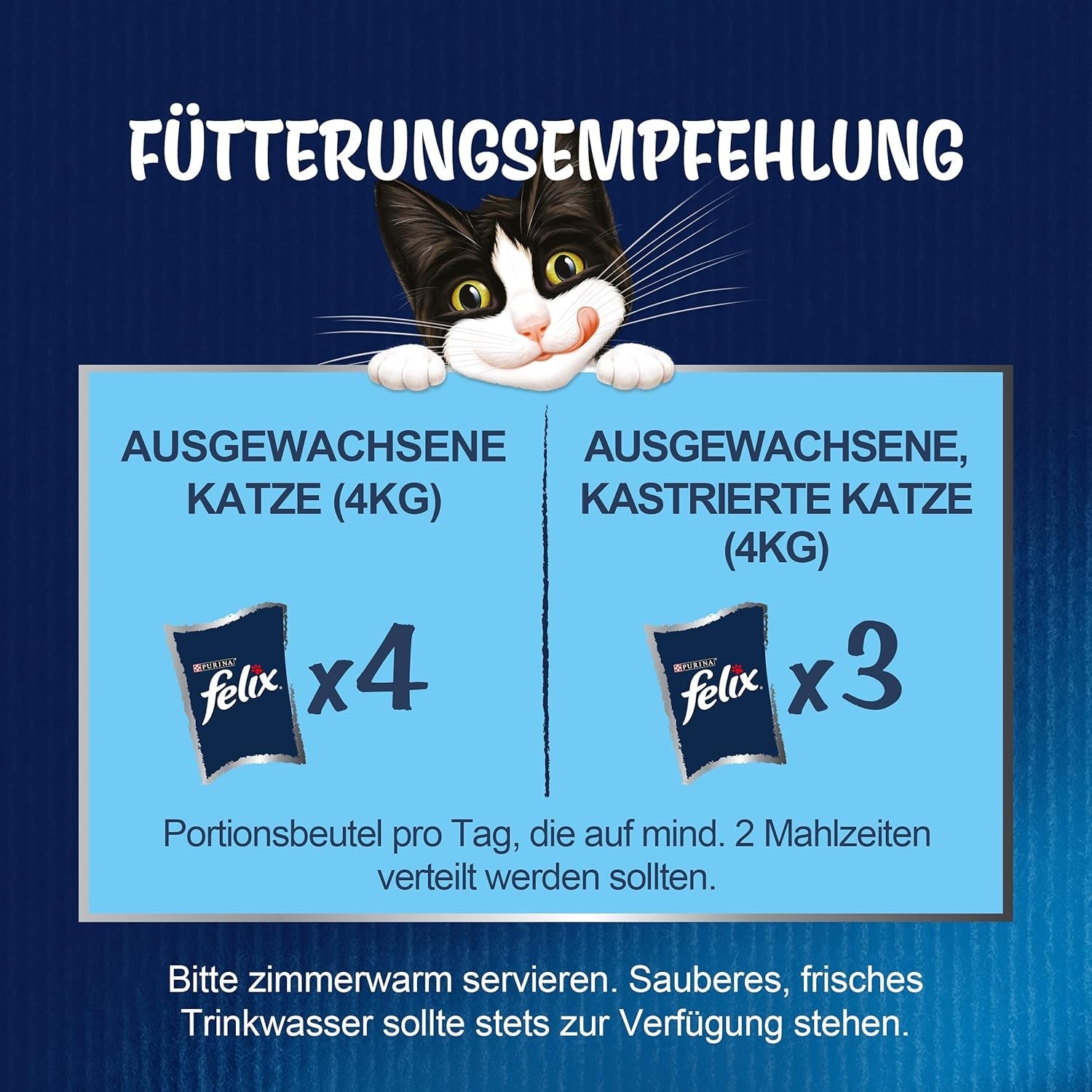 Felix Sensations Nassfutter für Katzen in Gelee, verschiedene Fischmischung, 6er-Pack (6 x 12 Beutel à 85 g)