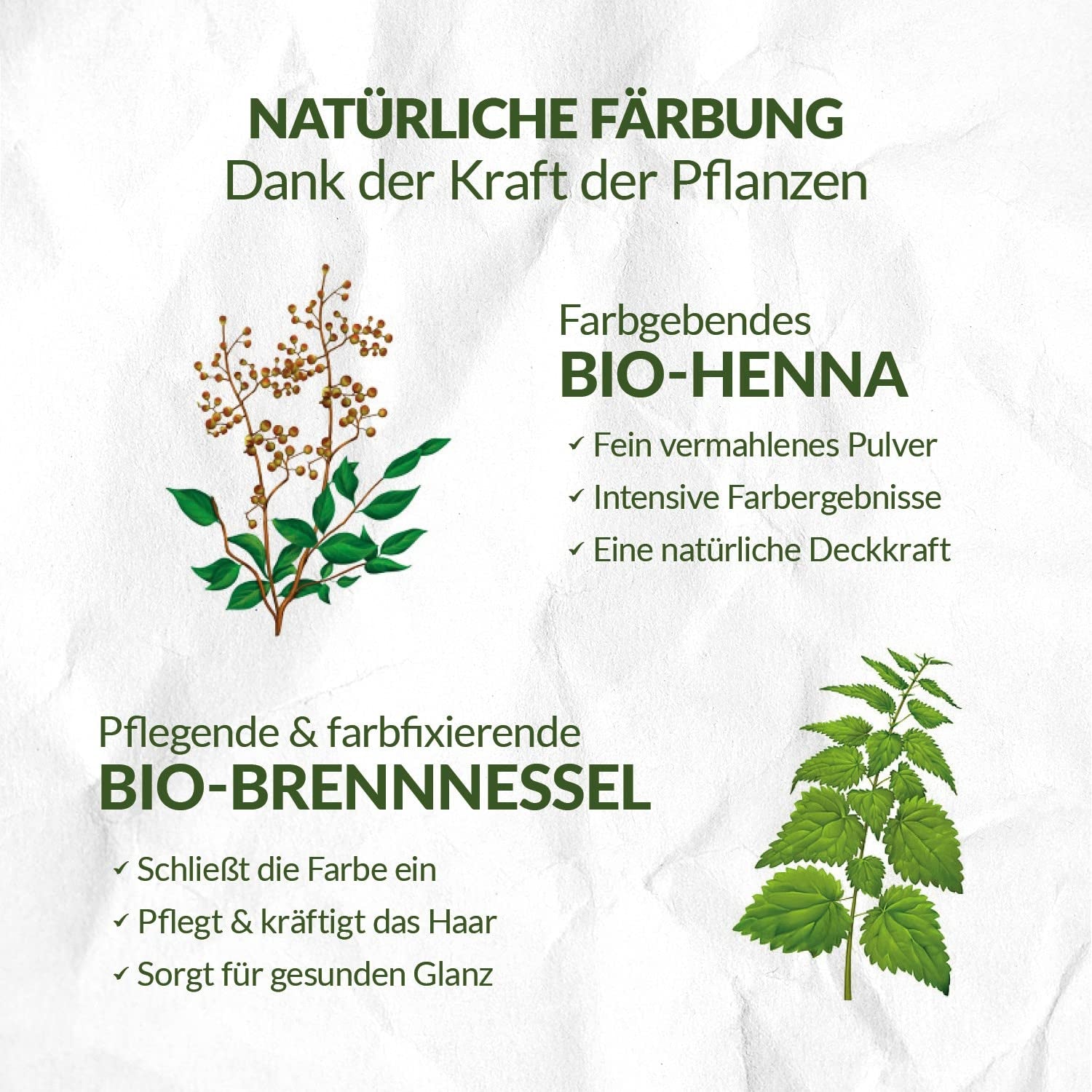 LOGONA Naturkosmetik Kräuter-Pflege-Haarfarbe, Bio-Henna-Pulver, vegane Haarfarbe für intensive Farbe und Glanz, Pflanzen-Haarfarbe in Kupferblond (Blond), 1 x 100 g Naty Shop Haarfarbe