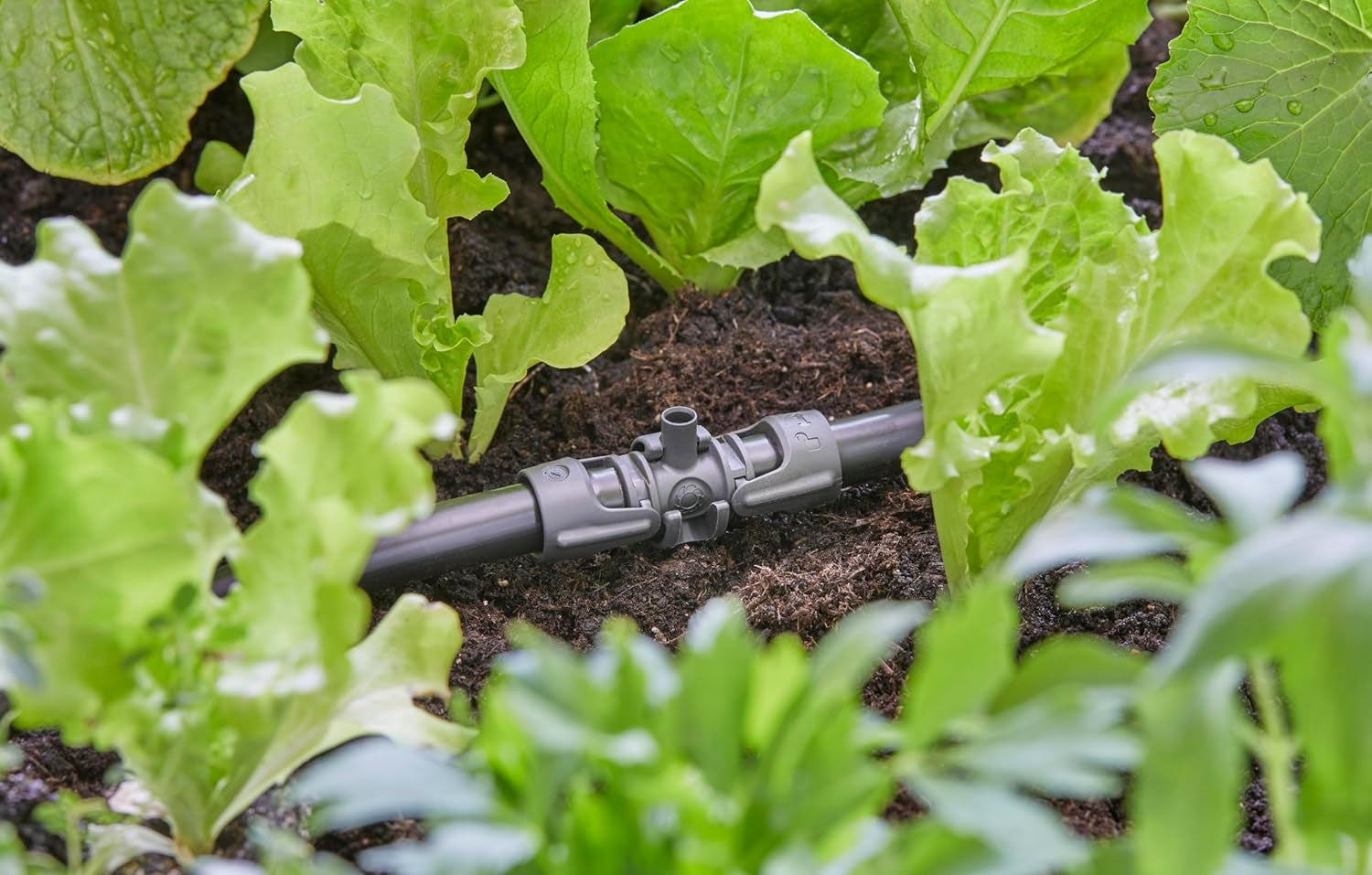 Gardena Micro-Drip-System T-Stück für Sprühdüsen: Verbindung zwischen 13 mm Rohren und einer Sprühdüse, automatische Pflanzenbewässerung, schnelle und einfache Verbindungstechnik, wiederverwendbar (13206-20)