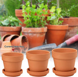 Hollyone 8-teiliges kleines Terrakotta-Pflanzgefäß-Set, 8 x 8 cm runde Tontöpfe mit Platte und Drainageloch, kleine Pflanzgefäße mit Tablett, Terrakotta-Sukkulentententöpfe für Zimmerpflanzen, Keramik-Pflanzgefäße