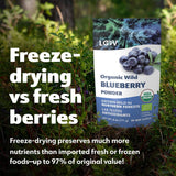 LOOV Bio-Wildheidelbeerpulver – 29-Tage-Vorrat 171 g, gut für Smoothies und Frühstück, gefriergetrocknet, Nordeuropa, ohne Zuckerzusatz, dehydrierte Produkte von Naty Shop