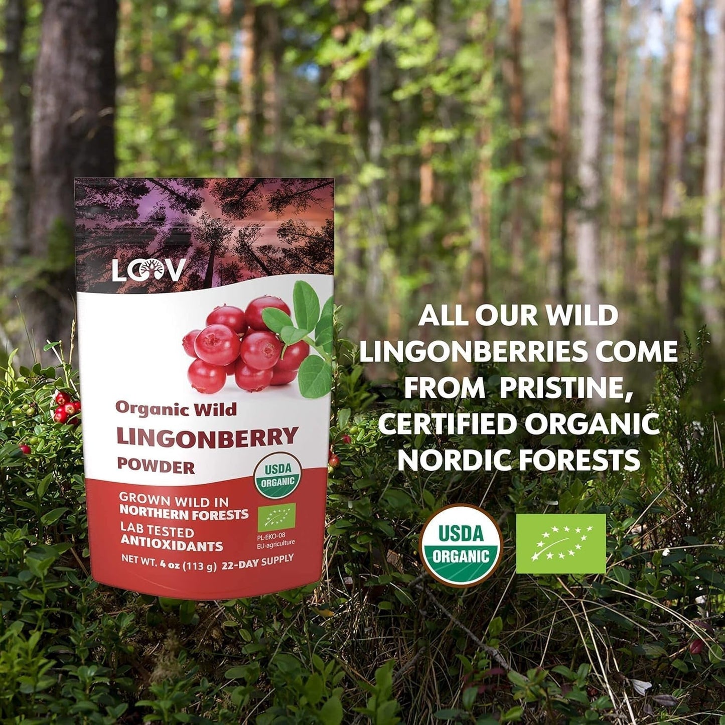 LOOV Bio-Blaubeerpulver, hergestellt aus 100 % ganzen, gefriergetrockneten wilden Blaubeeren, die in den Wäldern Nordeuropas geerntet werden, 113 g, ohne Zuckerzusatz Naty Shop Dehydrierte Produkte