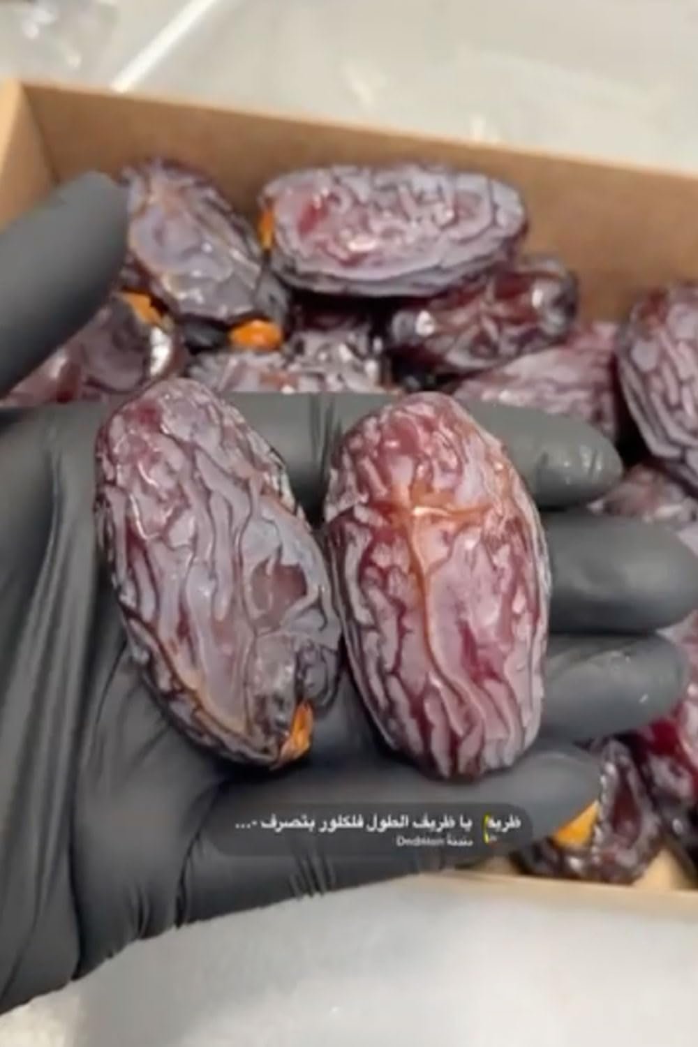 NABALI FAIRKOST FÜR ALLE Datteln Medjool Medjoul aus Palästina – 100 % natürlich vegan aromatisch traditionell frisch und orientalisch I ohne Konservierungsstoffe 5 kg (1 Packung), kleine/mittlere dehydrierte Produkte Naty Shop