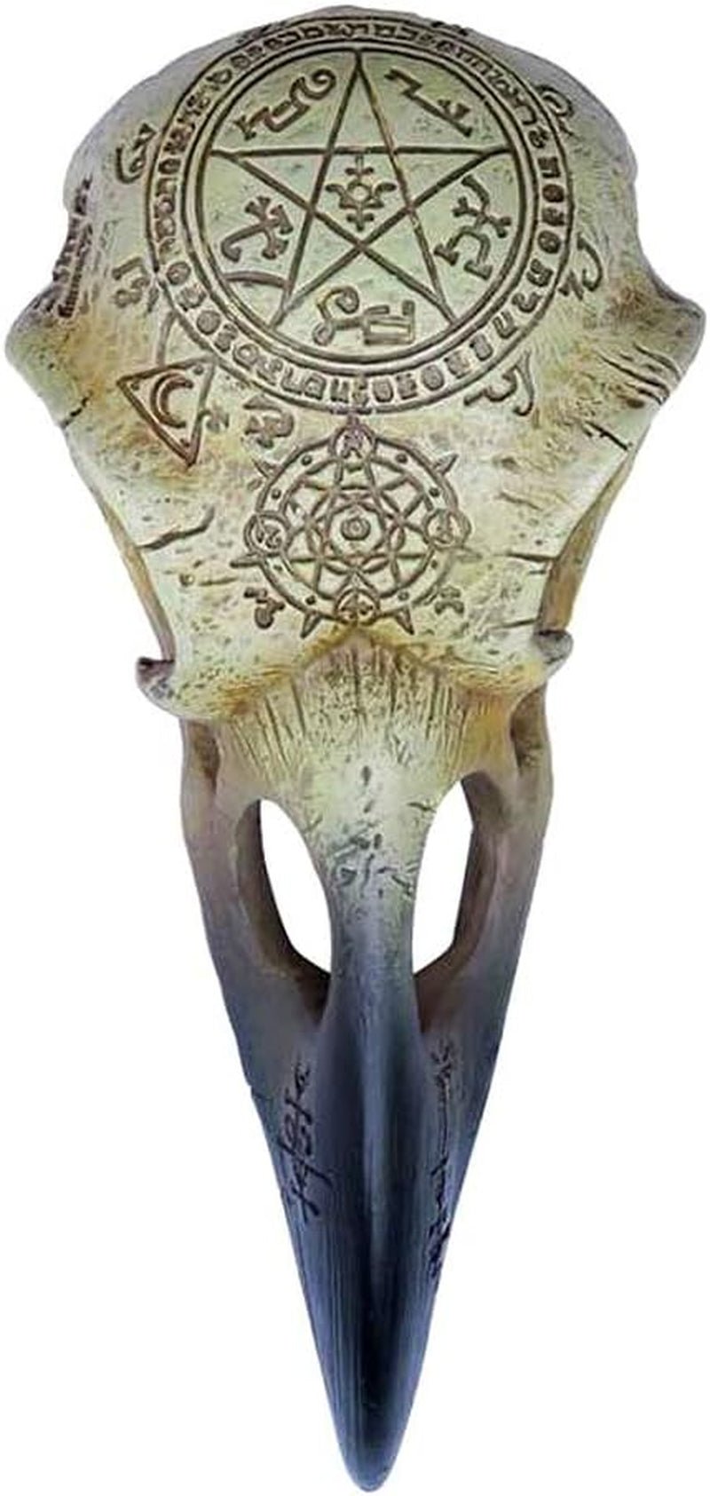 Omega Raven Skull Statuetten und Skulpturen Naty Shop