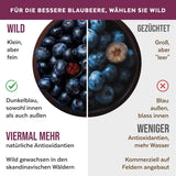 Bio-Wildheidelbeerpulver, gefriergetrocknete ganze Blaubeeren, 100 % Rohkostqualität, reich an Antioxidantien und Vitamin C, ohne Zuckerzusatz, in Nordeuropa geerntet. Trockenprodukte Naty Shop