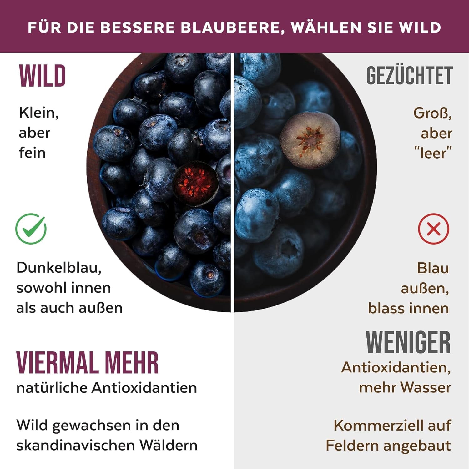 Bio-Wildheidelbeerpulver, gefriergetrocknete ganze Blaubeeren, 100 % Rohkostqualität, reich an Antioxidantien und Vitamin C, ohne Zuckerzusatz, in Nordeuropa geerntet. Trockenprodukte Naty Shop