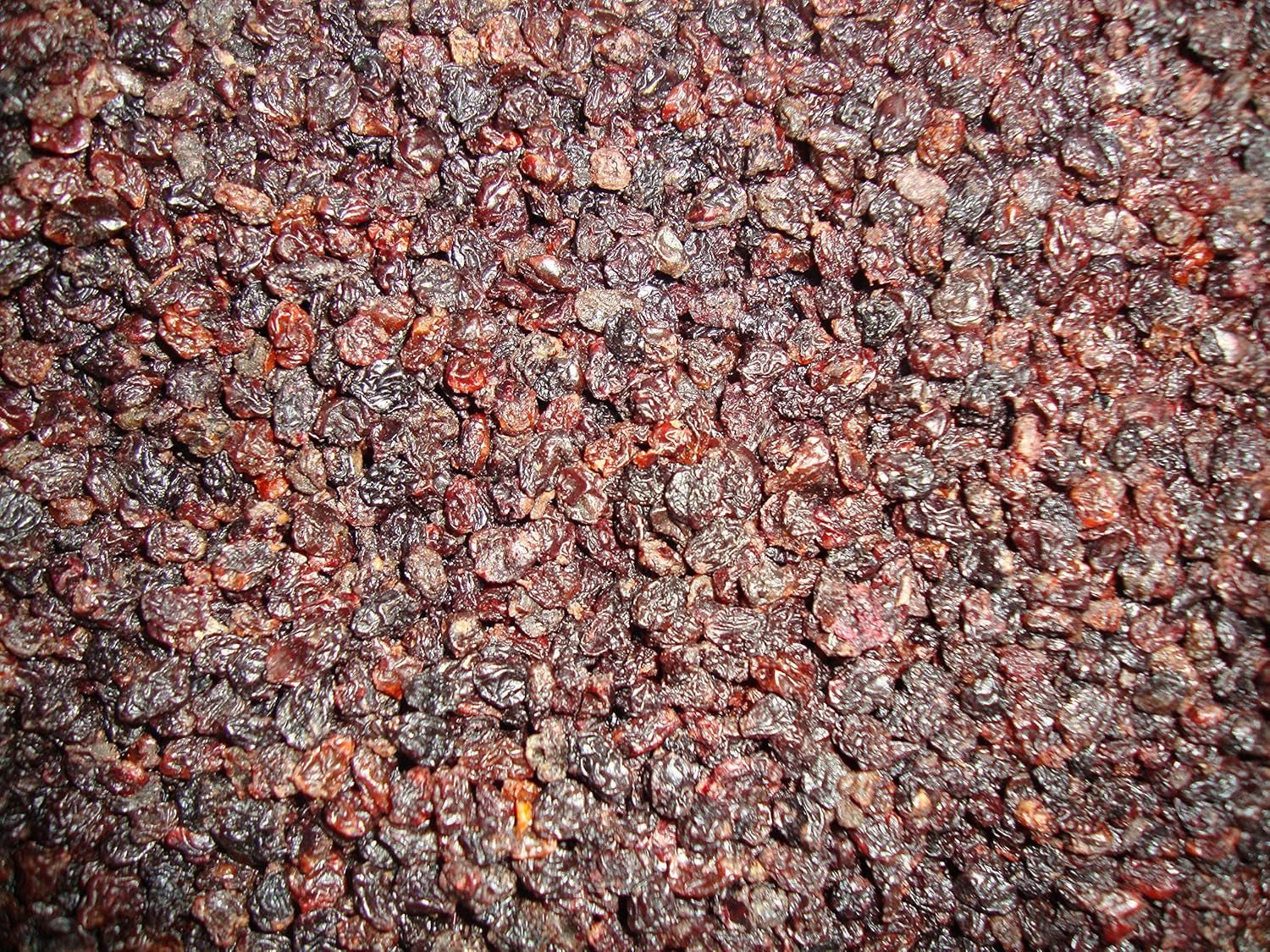 Sultaninen-Trauben Johannisbeeren 1 kg I Getrocknete Sultaninen-Trauben I Korinthische Sultaninen-Trauben I griechischer Herkunft | Süße und süße kernlose Sultana-Trauben | Getrocknete, getrocknete oder dehydrierte Weintrauben | Kein Zucker | Dehydrierte Produkte Naty Shop Standardtitel