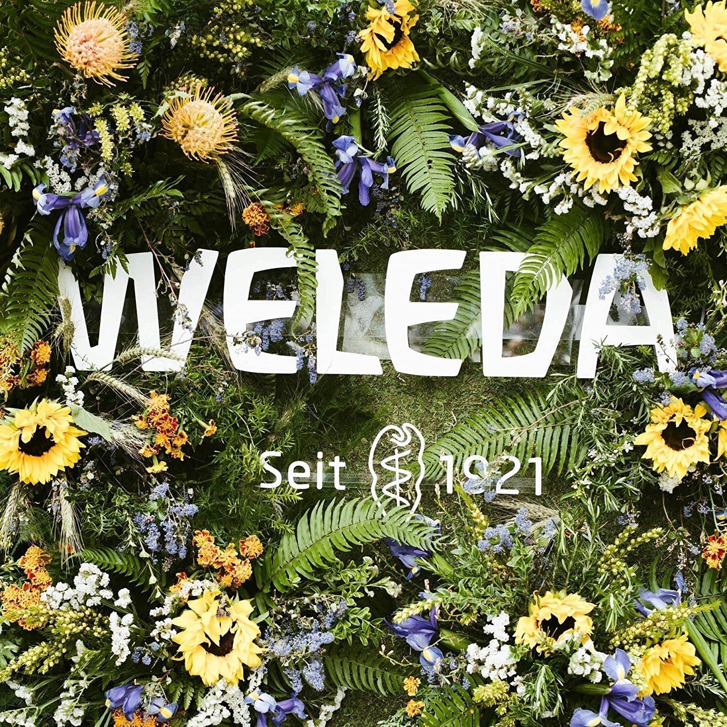 WELEDA Bio Baby Calendula Pflegecreme Körper & Gesicht 75ml – Gesichtscreme / Hautcreme für Naturkosmetik mit Sesamöl und Lanolin zur Pflege trockener Haut. Feuchtigkeitsspendende Pflegecreme für Babys und Kinder Kinder - Bade- und Hautpflege Naty Shop